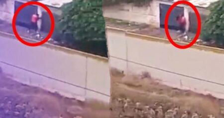 فيديو خطير يظهر وحشا آدميا يعرض فتاة لمحاولة اغتصاب في الشارع العام، يستنفر الأجهزة الأمنية.