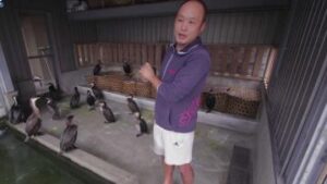 اليابانيون يخترعون طريقة غريبة لصيد الأسماك .