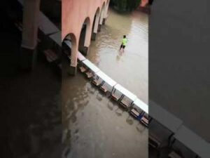 سابقة:تلاميذ يعبرون الى أقسامهم عبر جسور من الطاولات بعدما امتلأت الشوارع بمياه الأمطار