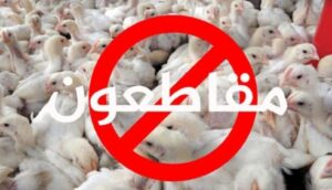 نشطاء يطلقون حملة جديدة تحت عنوان “خليها تقاقي ودور فالزناقي” احتجاجا على ارتفاع أسعار الدواجن