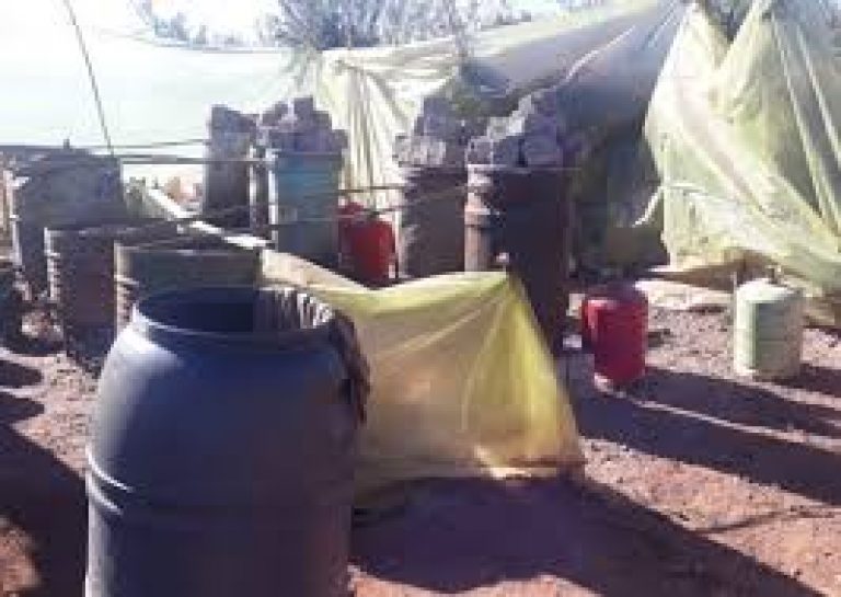 أولاد تايمة: تفكيك مصنع سري ضخم لصنع “الماحيا” وحجز الأطنان منها في عملية أمنية محكمة