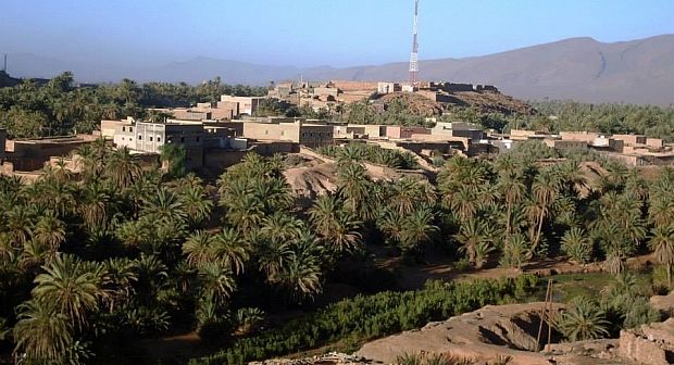 واحة تغجيجت بين شهرة المنتوج ومرض البيوض.