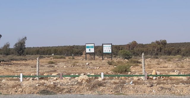 amzazi3