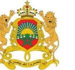 عاجل: توقيف شاب خطير يستعمل بندقية في عملياته الإجرامية