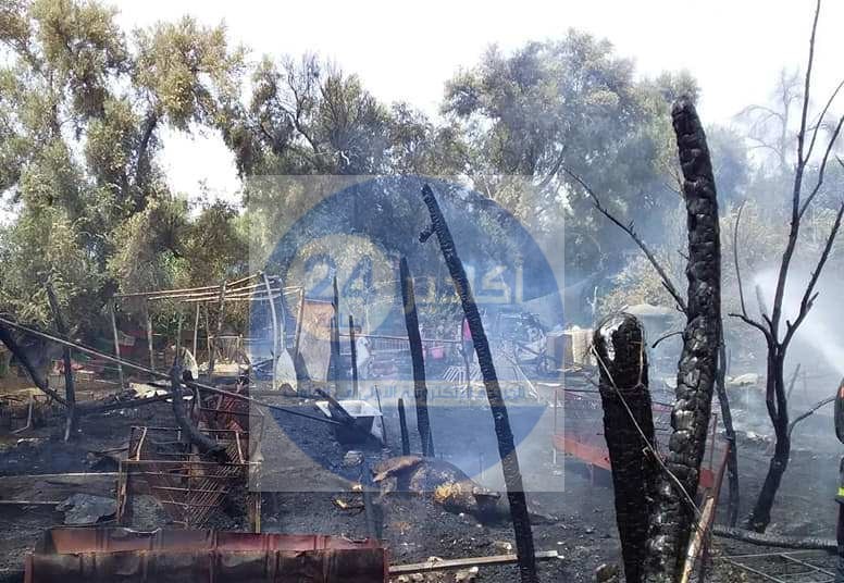 تارودانت: تفحم عدد من الأبقار والأغنام في حريق مهول داخل إسطبل + "صور"