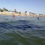 البوليساريو يواصل استفزاز المغرب، والجيش المغربي يستنفر عناصره في الحدود.