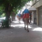 عاجل بإنزكان: إصطدام حافلة لنقل المستخدمين بشاحنة يخلف العديد من الضحايا