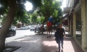 IMG 20190828 WA0010