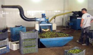 فاجة أخرى بتارودانت: وفاة عاملين داخل معصرة لزيت الزيتون يستنفر الأجهزة الأمنية 2 OliveOil