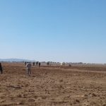 انتشار الكلاب الضالة بأگادير يتحول إلى ظاهرة تقلق الساكنة (+صور وفيديو)