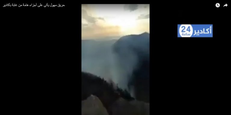 حريق مهول يأتي على أجزاء هامة من غابة بأكادير(+فيديو)
