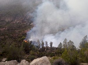 بالفيديو: حصيلة الحرائق التي التهمت جزء من غابة بأكادير، وهذا سبب الحادث: 1 حريق غاية اكادير
