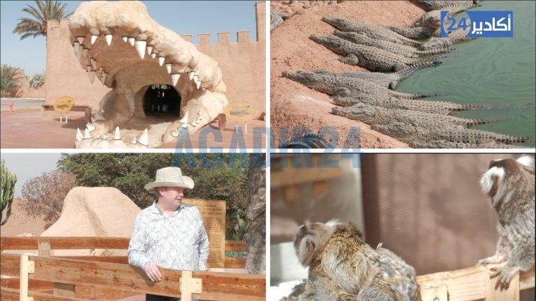 حديقة التماسيح بأكادير، فضاء سياحي يجدب الزوار .(فيديو)