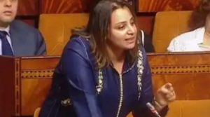 من تكون البرلمانية التي استاء الملك بسبب دفعها من طرف زملائها في البرلمان؟