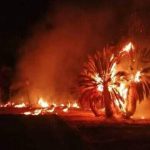 فرحة مستحقة لجمهور ولاعبي حسنية أكادير بعد الفوز والتأهل لنهائي كأس العرش(فيديو)