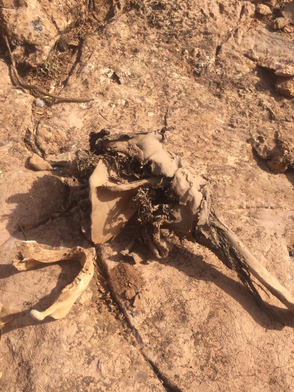 صادم/ بالصور: العثور على مقبرة جماعية بتارودانت يستنفر السلطات الأمنية بالمنطقة