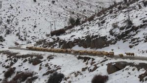 الأرصاد الجوية تتوقع نزول أمطار هامة وتساقطات ثلجية وطقس بارد تحت الصفر. 12 اتساقطات ثلجية ،طقس بارد