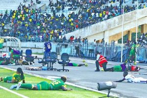 فيديو…هجوم سرب من النحل على اللاعبين أثناء المباراة