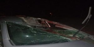 بالصور ..نجاة ركاب سيارة خفيفة من موت محقق في حادث اصطدام بـجملٍ ضواحي أكادير 9 اصطدام بـجملٍ 2