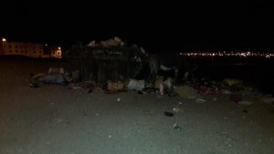 أكادير: الكلاب الضالة تهدد حياة المواطنين، وتحول حياتهم إلى جحيم، وسط مطالب بتدخل الجهات الوصية.(+فيديو و صور) 3 الكلاب الضالة 9