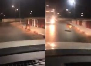 هكذا يتجول خنزير كبير بقلب مدينة طانطان في الليل…