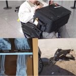 العملاق الصيني يقدم عرضا مغريا جدا مقرون بامتيازات مهمة من أجل الظفر بصفقة إنجاز قطار “تيجيفي” أكادير مركش .