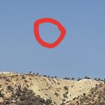 IMG 20200215 WA0010