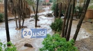 عاجل: + فيديو...أمطار عاصفية تتهاطل على عدد من المناطق بسوس، وتحول بعضها إلى برك عائمة و سيول جارفة 4 taroudante