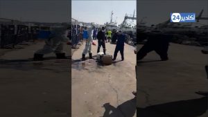 البحارة بميناء أكادير