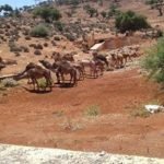 3 جهات تنذر بالأسوأ: واحدة سجل بها 61 % من الإصابات الجديدة، وأخرى تجاوزت عتبة700 حالة مؤكدة، وهذا سبب الإرتفاع المهول للوباء: