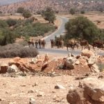 وزير الصحة يصدر مذكرة جديدة بخصوص علاج المصابين بفيروس كورونا