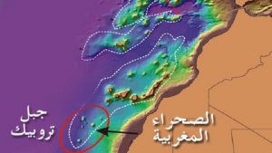 الحلقة السادسة من خواطر محتجز صحي بأكادير .."جبل تروبيك بوابة الحلم المغربي بعد عام كورونا". 6 تروبيك