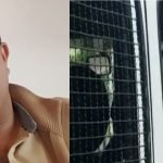 أكادير : جمعية مهنيي المطاعم بسوس تنخرط في الجهود المبذولة للتخفيف من تداعيات جائحة كورونا