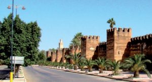 استقبال خاص للأبطال الذين جنبوا تارودانت كارثة فيروس كورونا بعد مغادرتهم الحجر الصحي. 1 taroudant
