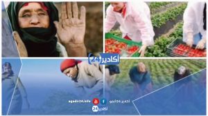 العاملات
