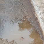 ساكنة مسجد الامام البخاري 12