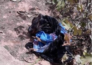 اشتوكة أيت باها : الدرك الملكي يوجه ضربة موجعة لعشاق دم “الأيل البري” المحرم