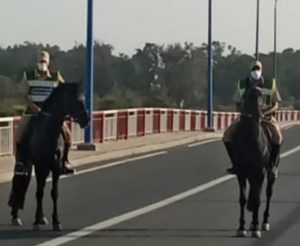 وحدة الخيالة