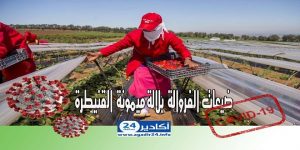 المغرب: رقم قياسي في عدد الإصابات بفيروس كورونا بعد تسجيل 539 حالة في يوم واحد 1 فيروس