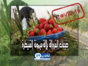 الوكيل العام للملك فيروس كورونا