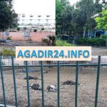 حديقة للطيور