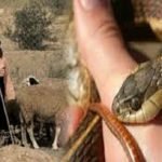 توقعات أحوال الطقس ليومه الأحد بالمغرب