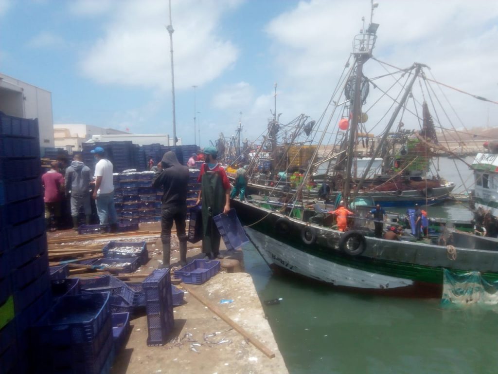 نقابات مهنية بميناء سيدي إفني تدق ناقوس الخطر وتدعو للقاء عاجل للجنة اليقظة والسلامة والأمن بالميناء ولتفعيل قراراتها