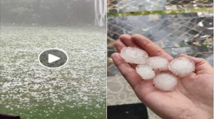 فيديو "التبروري" الذي خلق الرعب بمدينة فاس 4 التبروري