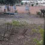 حديقة للطيور 1
