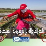 فيروس