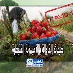 الوكيل العام للملك فيروس كورونا