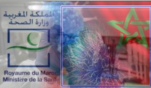 سوس ماسة فيروس كورونا