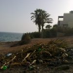 شاطئ المضربة 1