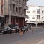 أكادير